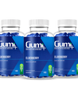 Elderberry Gummies