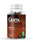 shilajit image